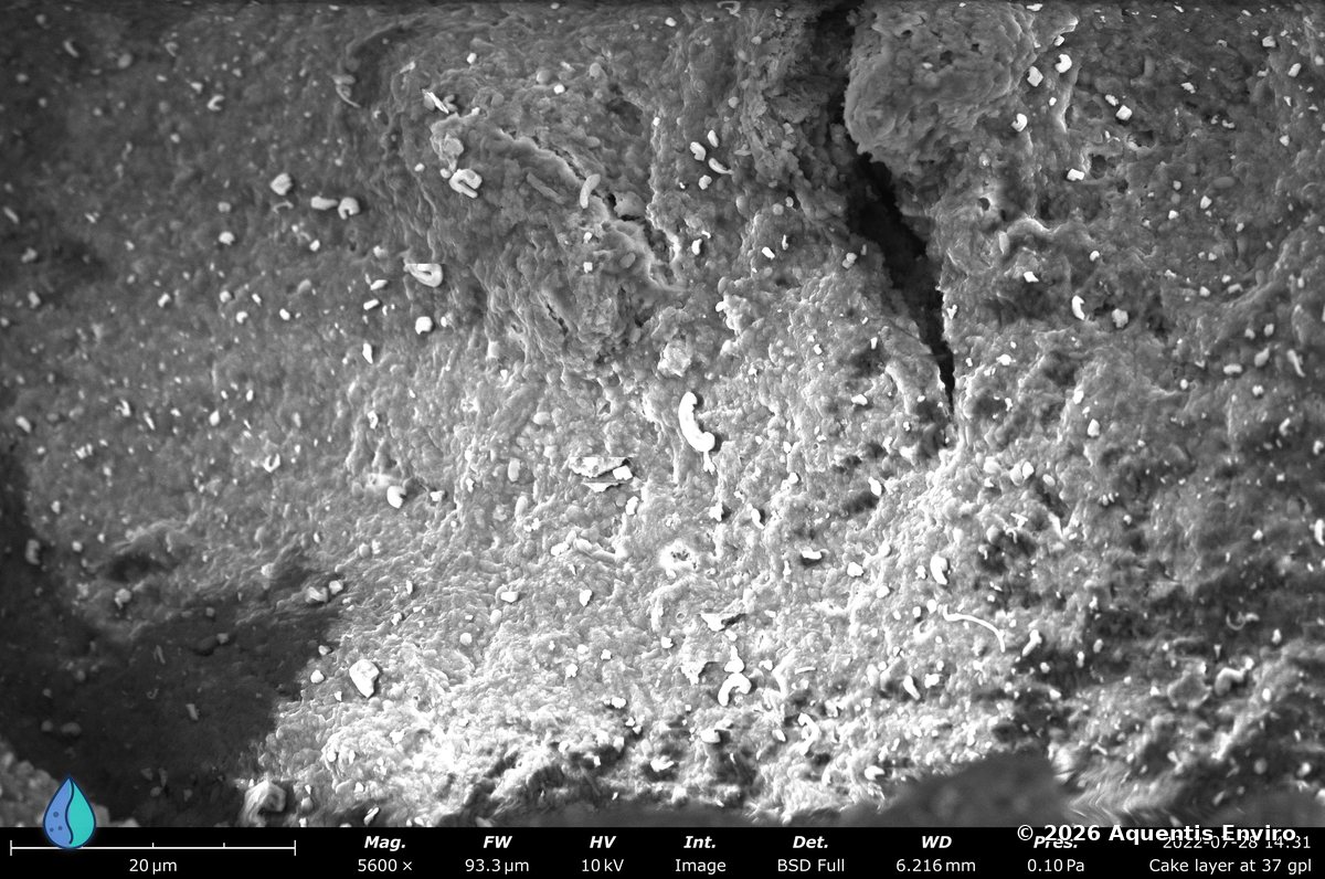 Cake-layer biofouling on a ceramic ultrafiltration membrane